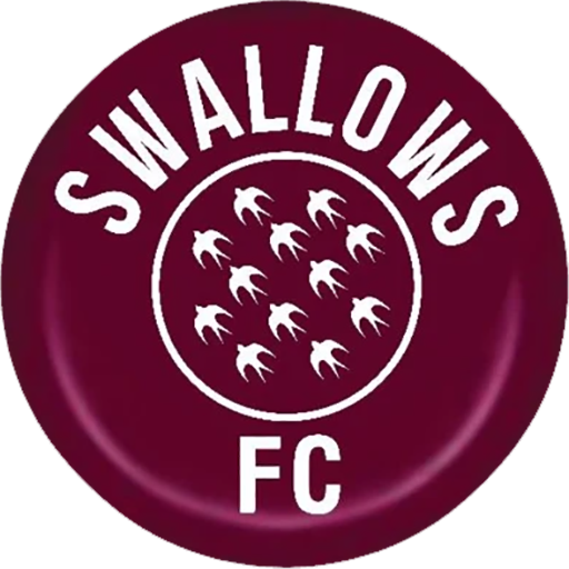 Moroka Swallows artwork 1