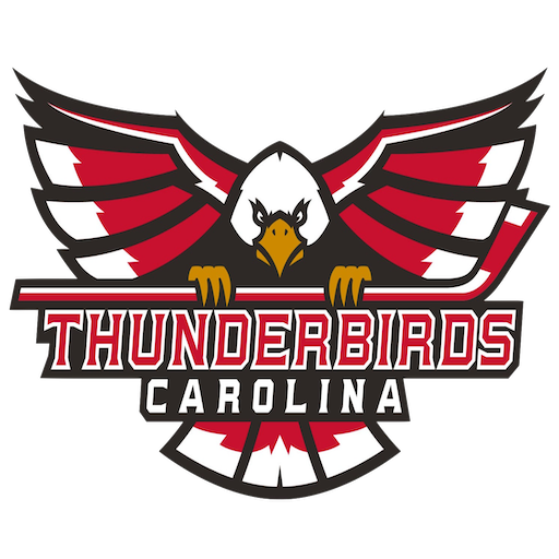 Carolina Thunderbirds artwork 1