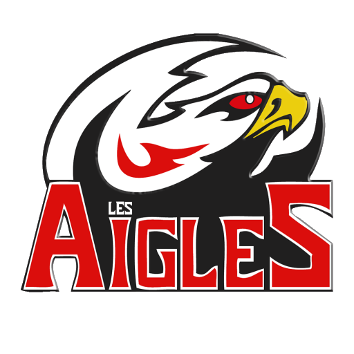 Nice Aigles artwork 1