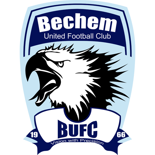 Bechem United artwork 1