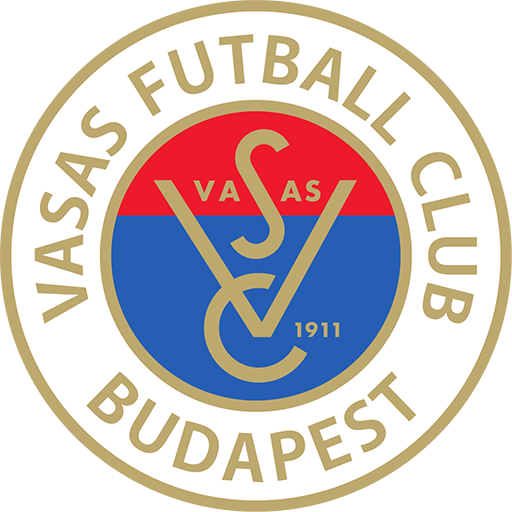 Vasas badge