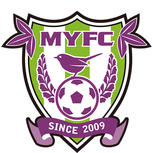 Fujieda MYFC badge
