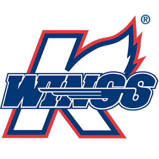 Kalamazoo Wings artwork 1