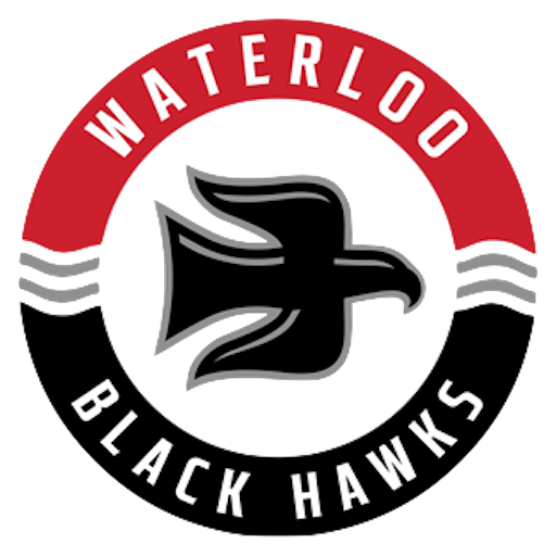Waterloo Black Hawks badge