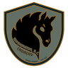 Washington DC Cavalry