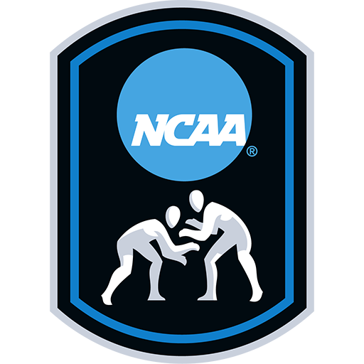 NCAA Fighting artwork 1