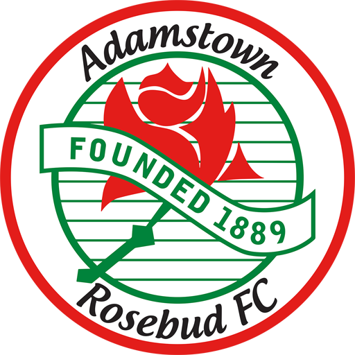 Adamstown Rosebud FC artwork 1