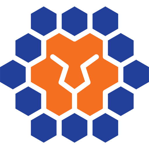 Queensland Lions FC artwork 1