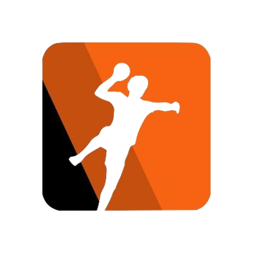Netherlands Handball Women artwork 1