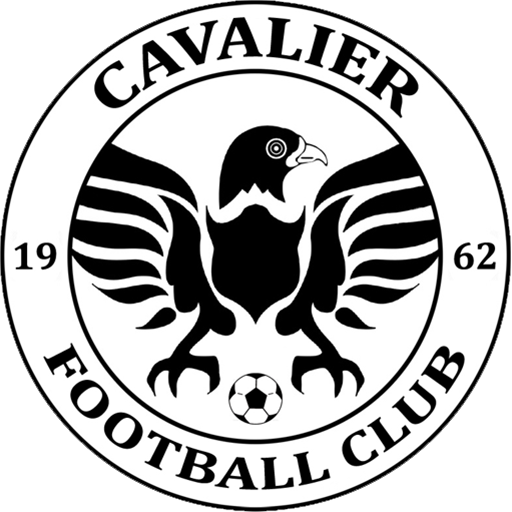 Cavalier artwork 1