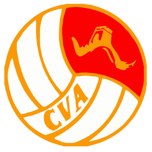 China Volleyball artwork 1