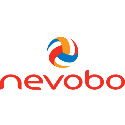 Netherlands Volleyball artwork 1