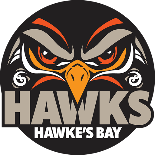 Hawkes Bay Hawks artwork 1