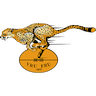 Free State Cheetahs