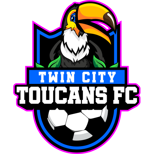 Twin City Toucans artwork 1