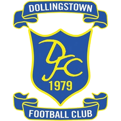 Dollingstown badge