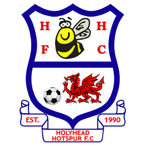 Holyhead Hotspur badge