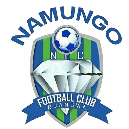 Namungo FC artwork 1