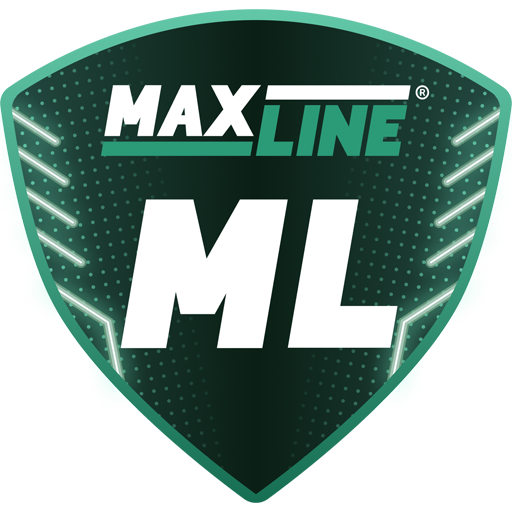 FC Dnepr Rogachev artwork 1