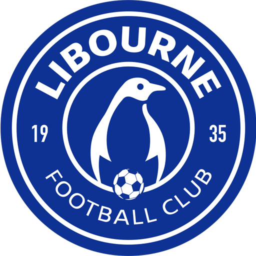 FC Libourne artwork 1