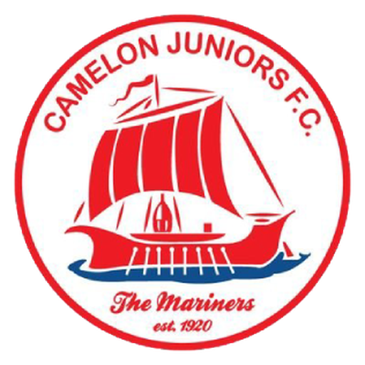 Camelon Juniors F.C. artwork 1