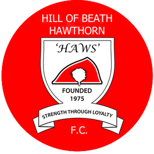 Hill of Beath Hawthorn F.C. artwork 1