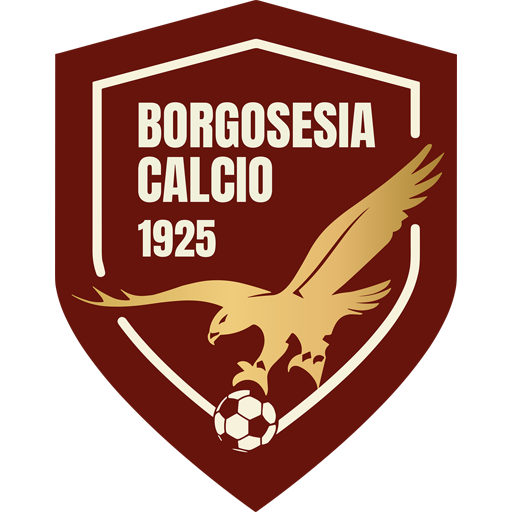 Borgosesia Calcio artwork 1
