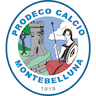 Calcio Montebelluna