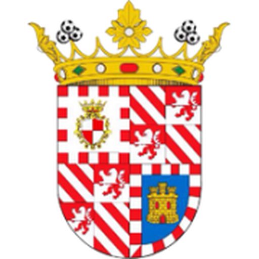 Vastese Calcio 1902 artwork 1