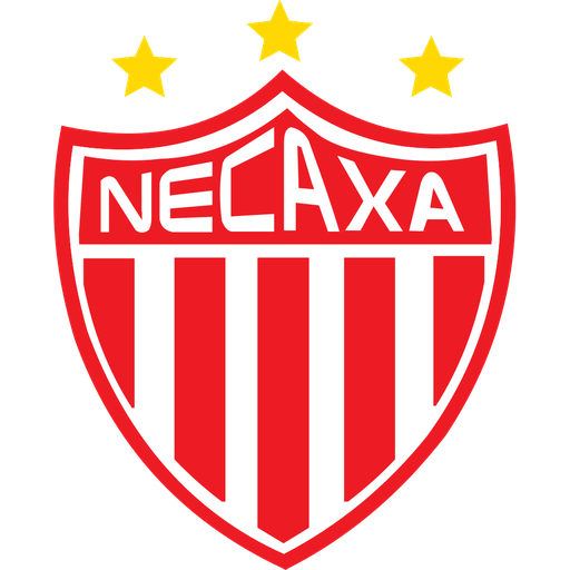 Club Necaxa Femenil artwork 1