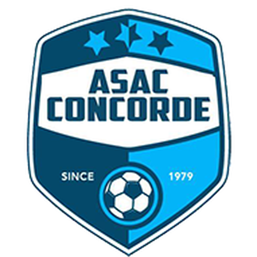 Concorde badge