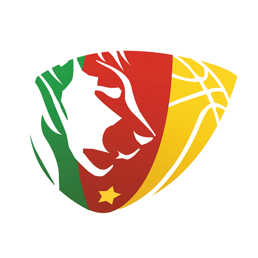 Cameroon Basketball artwork 1