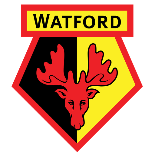 Watford Women artwork 1