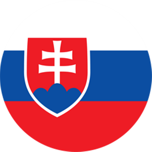 Slovakia Canoe Sprint artwork 1