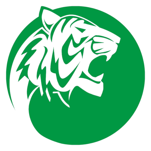 Volley Vallefoglia Women artwork 1