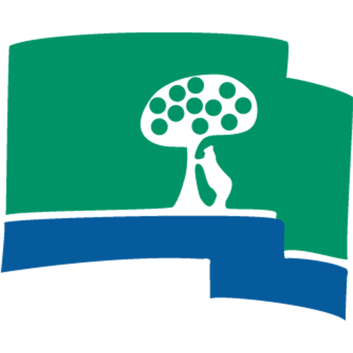 Club de Campo artwork 1