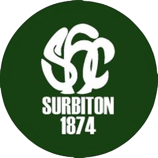 Surbiton Hockey Club artwork 1