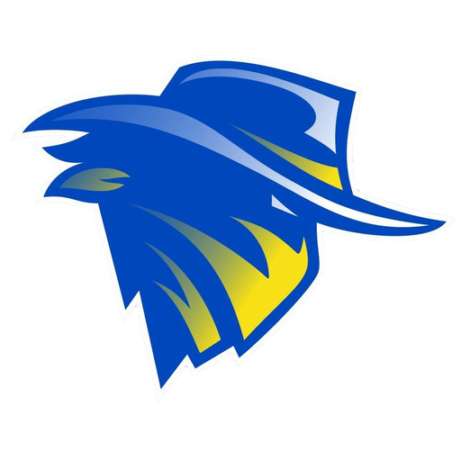 Brisbane Bandits artwork 1