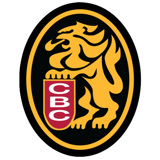 Leones del Caracas badge