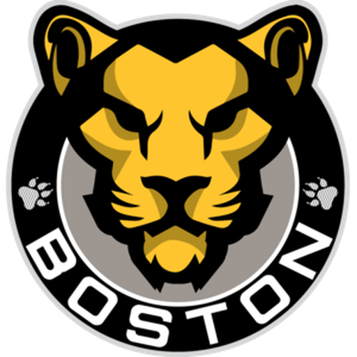 Boston Pride badge