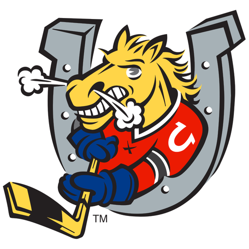 Barrie Colts artwork 1