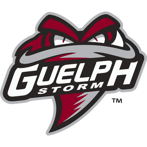 Guelph Storm artwork 1