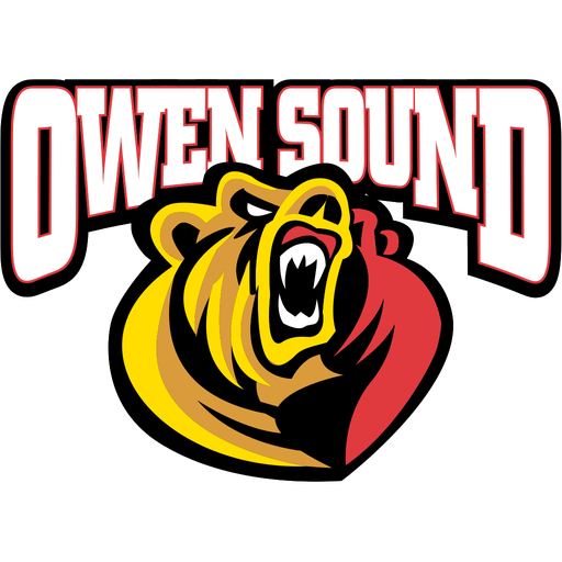 Owen Sound Attack artwork 1