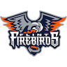 Flint Firebirds