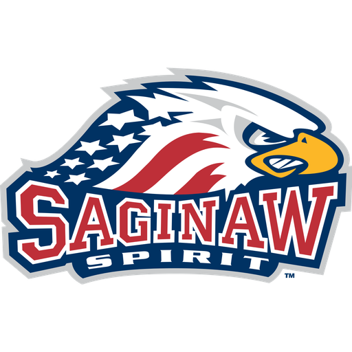 Saginaw Spirit artwork 1