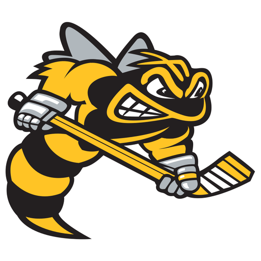 Sarnia Sting artwork 1