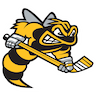 Sarnia Sting