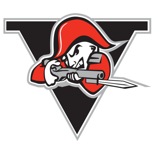 Drummondville Voltigeurs artwork 1