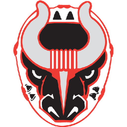 Birmingham Bulls badge