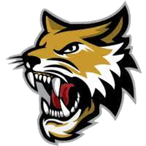 Vermilion County Bobcats badge